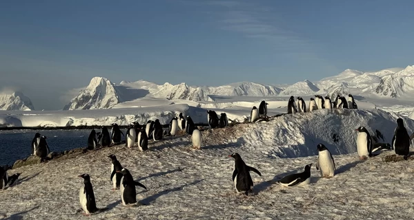 На остров, где расположен 