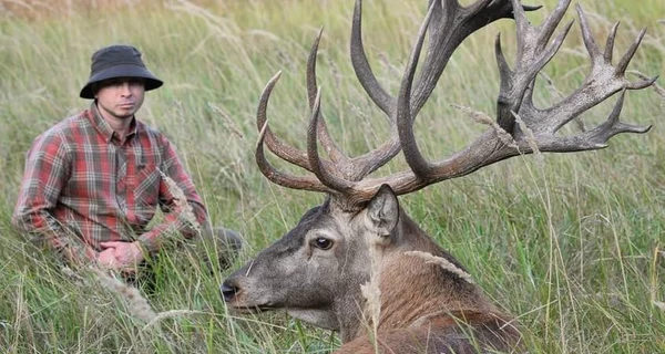 1000 оленей на 250 гектарах: в Сумской области каскадер создал крупнейшую в Украине оленью ферму