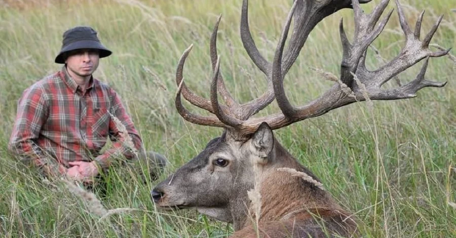 1000 оленей на 250 гектарах: в Сумской области каскадер создал крупнейшую в Украине оленью ферму