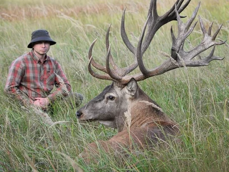 1000 оленів на 250 гектарах: на Сумщині каскадер створив найбільшу в Україні оленячу ферму