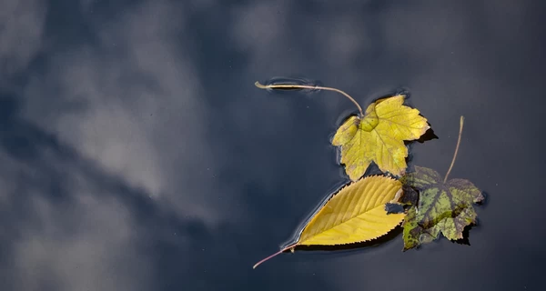 16 октября – какой сегодня праздник, традиции и приметы этого дня, что нельзя делать