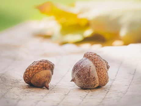 20 жовтня - прикмети й традиції цього дня, яке сьогодні церковне свято, що не можна робити