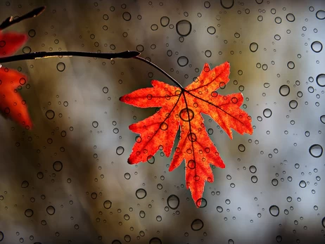 До України йде потепління - 21 жовтня на заході буде до +15 градусів