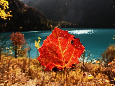 Погода в Україні - 23 жовтня буде до +18 градусів