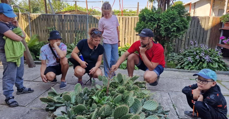 Оазис із тисячі кактусів: як біотехнолог з Житомирщини бореться зі стресом сам та допомагає іншим