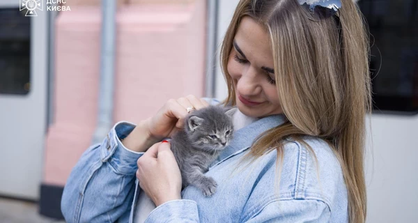 Котята, которых обнаружили после российской атаки на Киев, нашли семьи