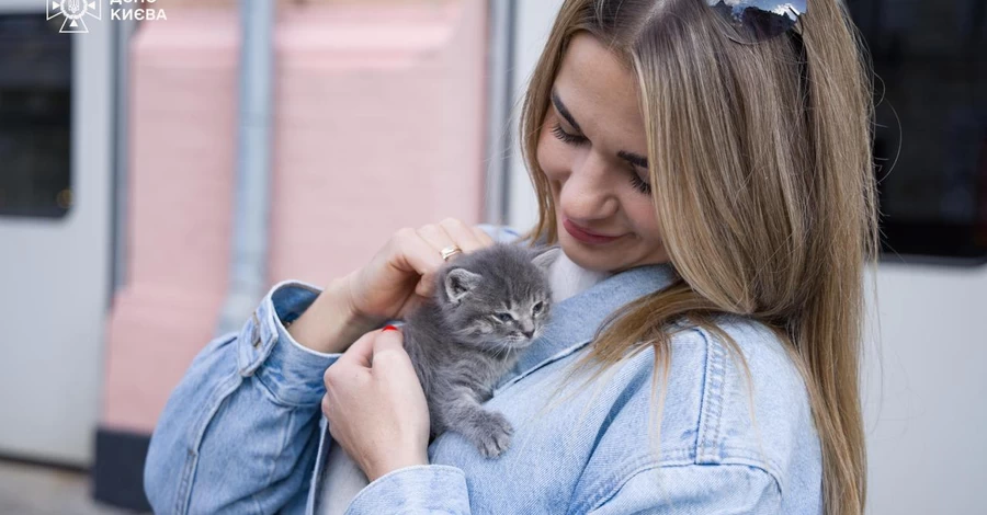 Кошенята, яких виявили після російської атаки на Київ, знайшли родини