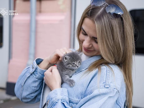 Кошенята, яких виявили після російської атаки на Київ, знайшли родини