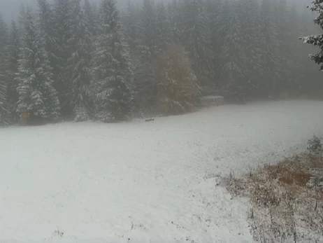 Буковель та сусідні курорти вкрило снігом, - соцмережі