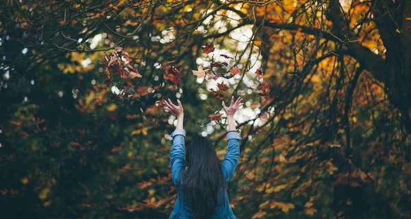 1 ноября – какой сегодня церковный праздник, приметы и традиции, что сегодня нельзя делать