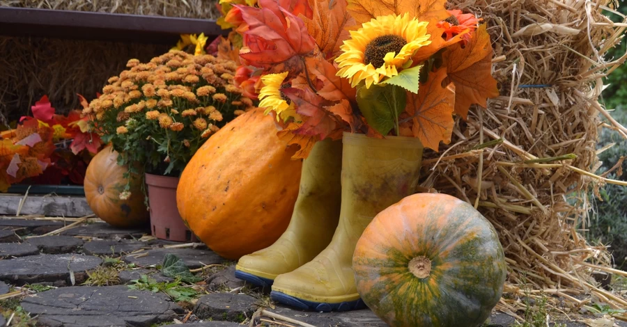 Что делать с тыквами после Хеллоуина: и вазу, и кашу, и корм для кроликов
