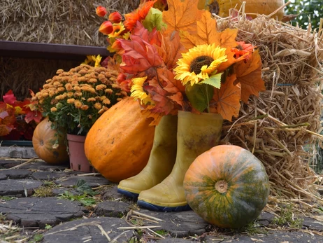 Що робити з гарбузами після Геловіна: і вазу, і кашу, і корм для кроликів