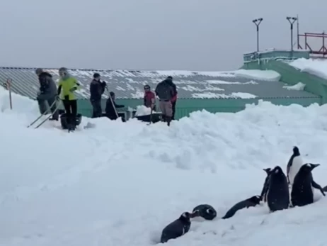 На українській станції 