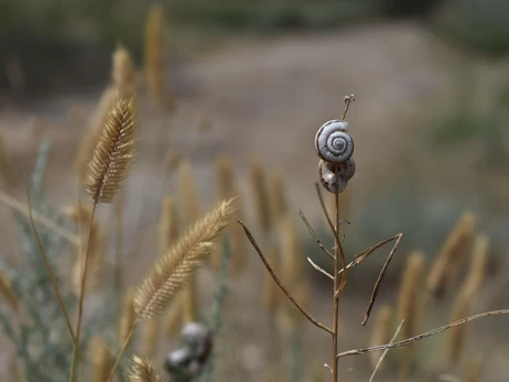 2024 год стал самым теплым за последние 125 тысяч лет, - ученые