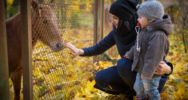 4 ноября – какой сегодня церковный праздник, традиции и приметы этого дня, что нельзя делать