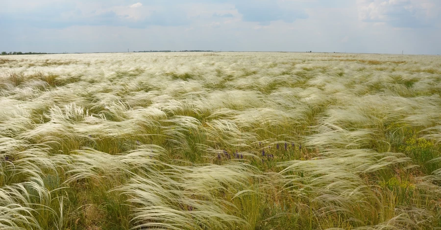 У ЗСУ заявили, що росіяни 