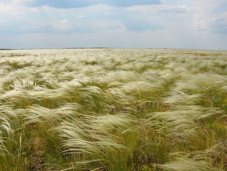 В ВСУ заявили, что россияне фактически уничтожили заповедник 