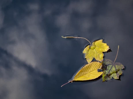 9 листопада - яке сьогодні свято, що не можна робити, традиції та прикмети