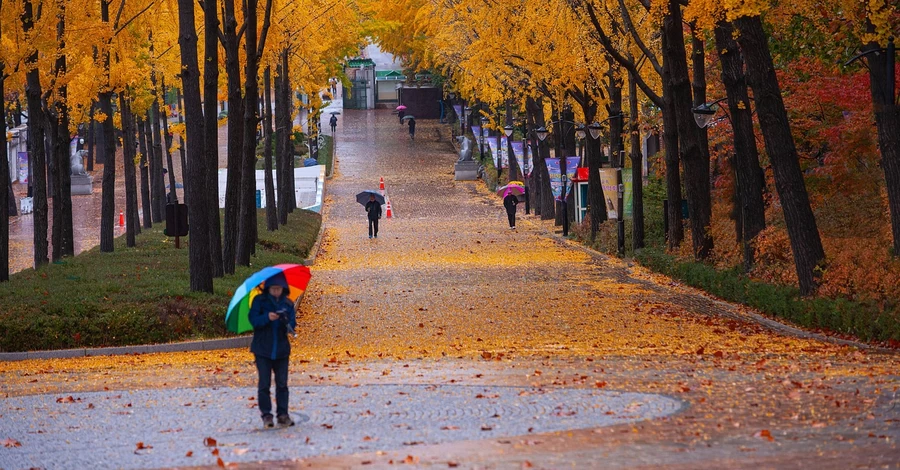 В Украину идет циклон Niksala – он несет дожди и похолодание