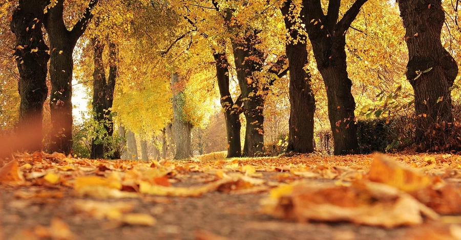 12 ноября - какой сегодня церковный праздник, что нельзя делать, традиции и приметы, что нельзя делать