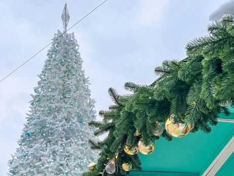 Без пафосу, але із символами затишку та спокою: що відомо про головну ялинку країни