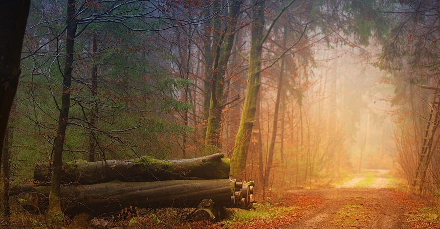 Погода в Україні 13 листопада - прояснення можливі лише на заході, на решті території - хмарно і дощі