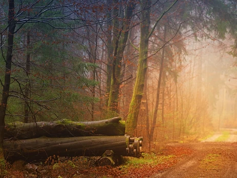 Погода в Украине 13 ноября - прояснения возможны только на западе, на остальной территории облачно и дожди