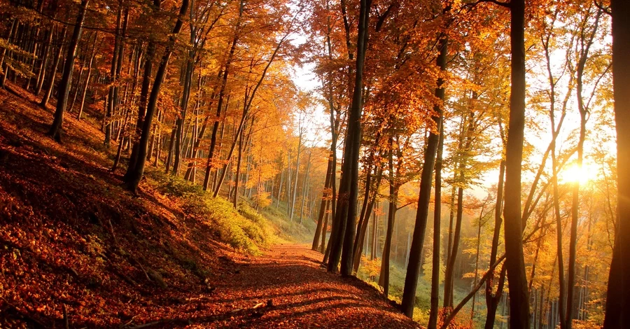 15 ноября – начало Рождественского поста, что сегодня нельзя делать, традиции и приметы этого дня