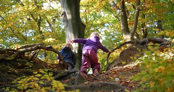 17 ноября – День студента, какой сегодня церковный праздник, приметы этого дня