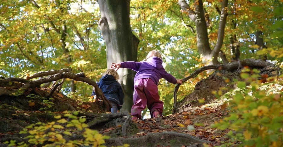17 листопада - День студента, яке сьогодні церковне свято, прикмети цього дня