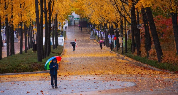 Погода на выходные в Украине будет контрастной, но идет серьезное похолодание