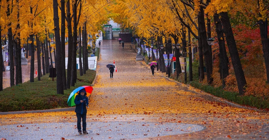 Погода на выходные в Украине будет контрастной, но идет серьезное похолодание