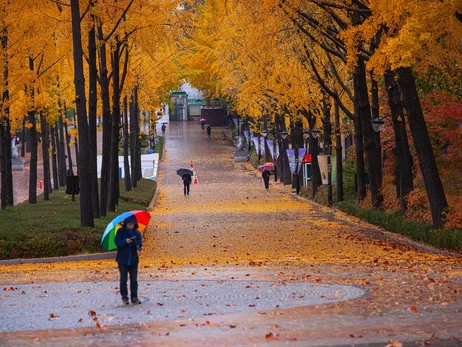 Погода на выходные в Украине будет контрастной, но идет серьезное похолодание