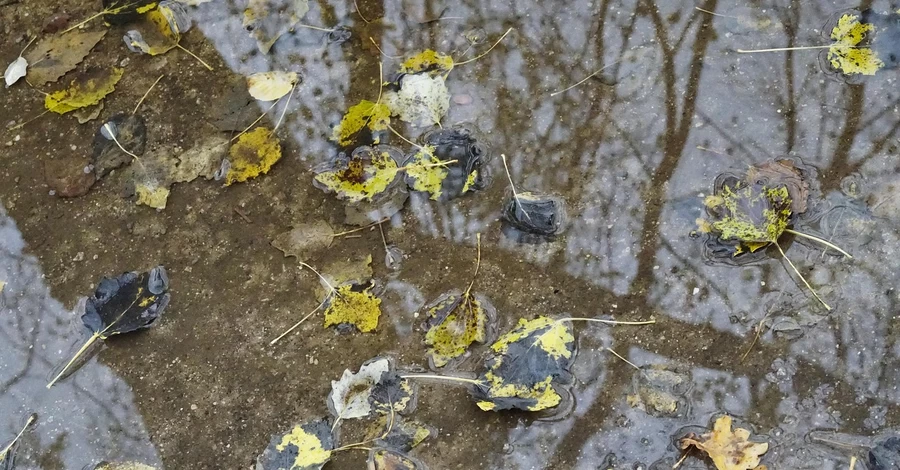 В Украине 16 ноября ожидается резкое потепление, но в некоторых областях - дожди