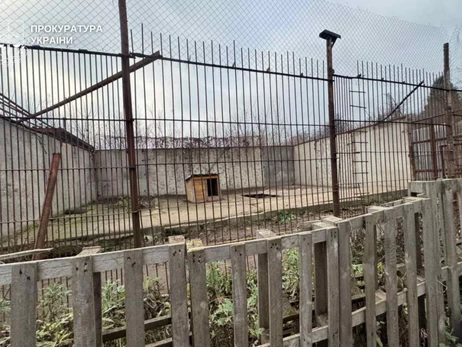 В Хмельницком два льва сбежали из реабилитационного центра- один еще бродит по городу