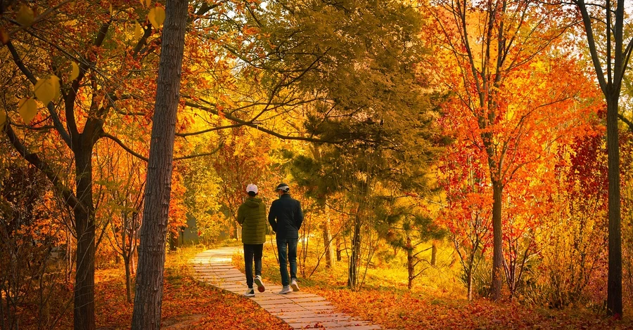 18 ноября – какой сегодня праздник, что нельзя делать, традиции и обычаи этого дня