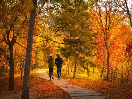 18 ноября – какой сегодня праздник, что нельзя делать, традиции и обычаи этого дня