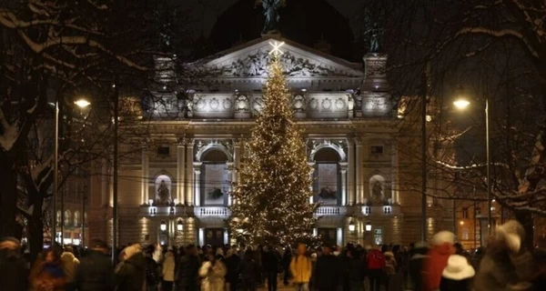 Во Львове выбирают главную новогоднюю елку - есть 15 претенденток