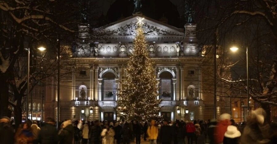У Львові обирають головну новорічну ялинку - є 15 претенденток