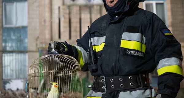 В Тернополе из-под руин разрушенного российским ударом дома спасли попугая