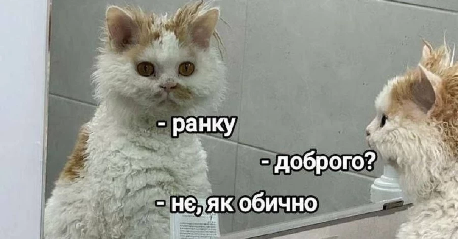Анекдоти та меми тижня: В Україні введено шапковий режим – бо темно і холодно
