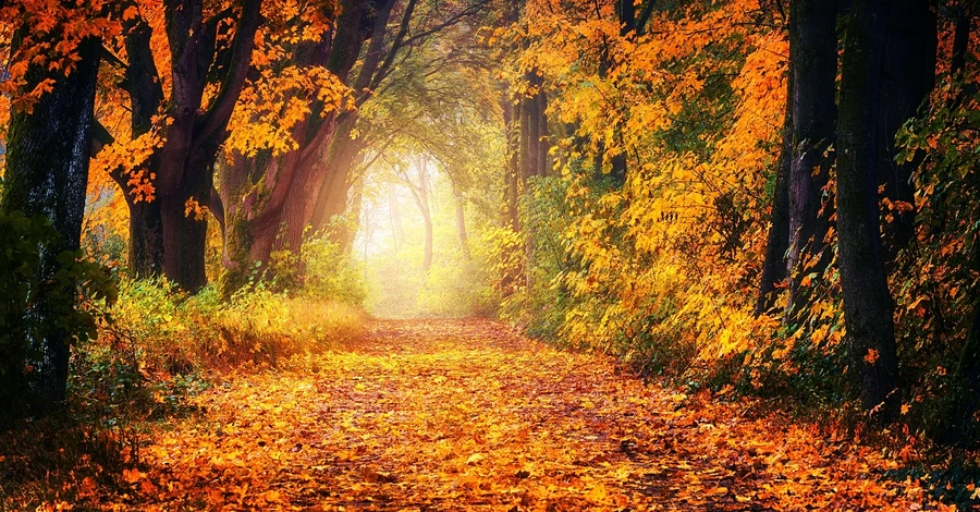 Погода 21 ноября – в Украину идет потепление до +14 градусов