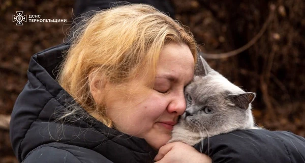 В Тернополе среди руин многоэтажки нашли кошку