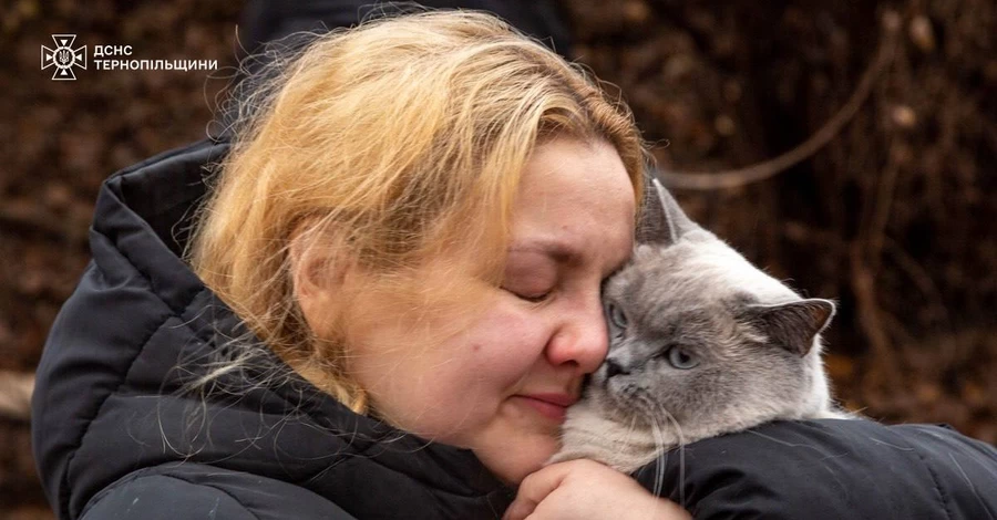 У Тернополі серед руїн багатоповерхівки знайшли кішку