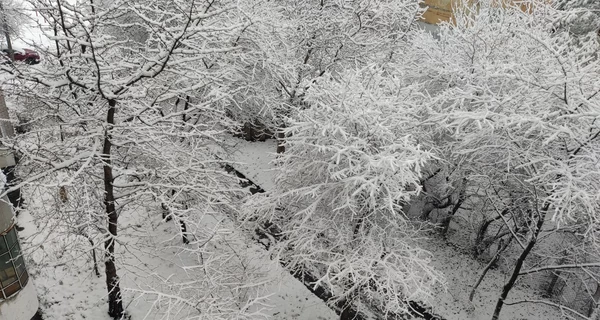 Львов, Ивано-Франковск и Ровно накрыли снегопады - объявлен ІІ уровень опасности