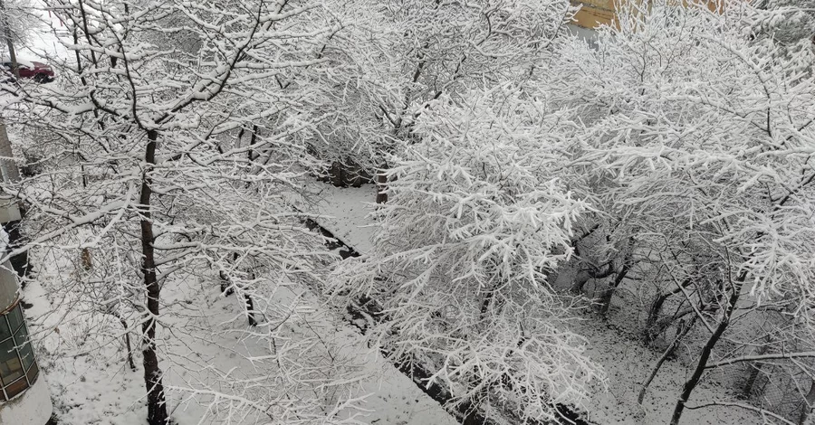 Львов, Ивано-Франковск и Ровно накрыли снегопады - объявлен ІІ уровень опасности