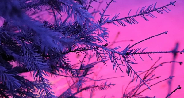 Погода в Украине 25 ноября – на западе прогнозируют мокрый снег, а на юге до +13 градусов