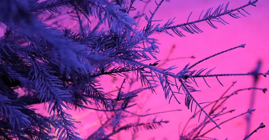 Погода в Украине 25 ноября – на западе прогнозируют мокрый снег, а на юге до +13 градусов