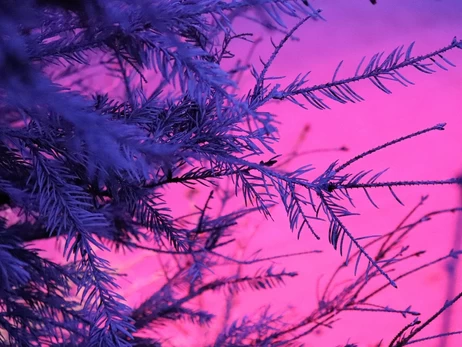 Погода в Украине 25 ноября – на западе прогнозируют мокрый снег, а на юге до +13 градусов