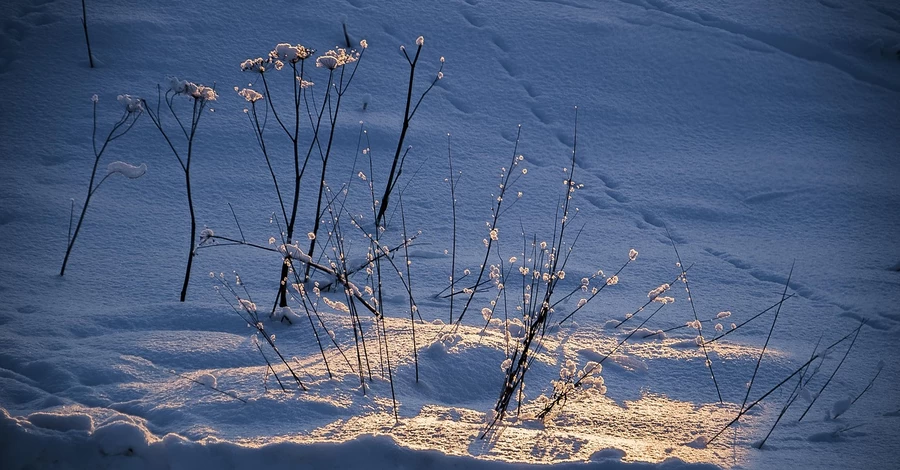 27 ноября холоднее всего будет на западе, на юге - до +16